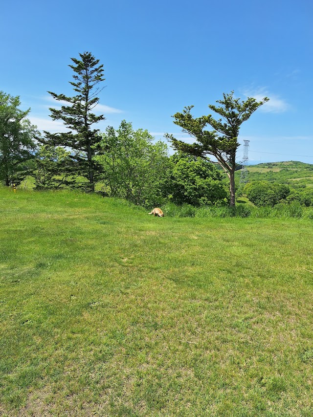 Ishikari Plain Country Club - Photo 3