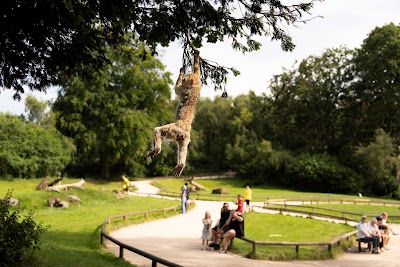 Trentham Monkey Forest