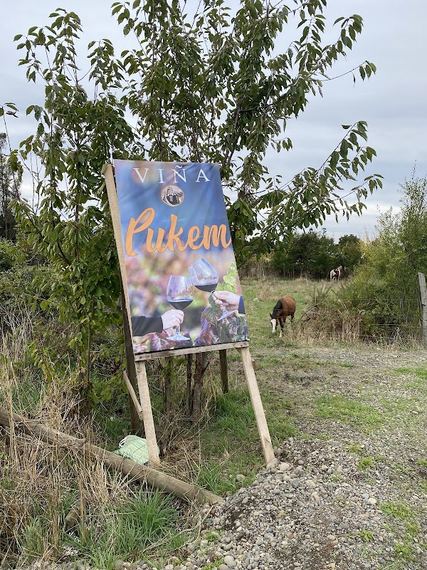 viña pukem