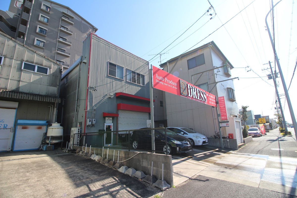 オートプロデュースドレス - 画像2