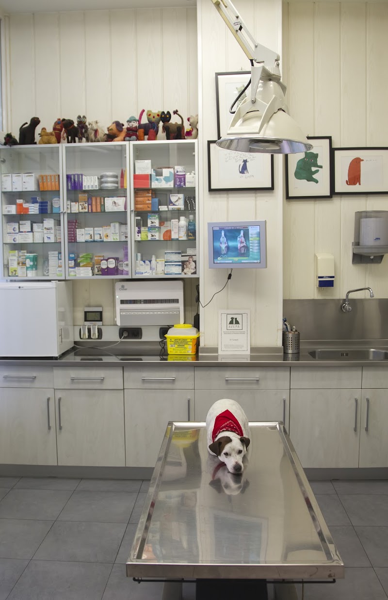 Clínica Veterinaria Karmelo