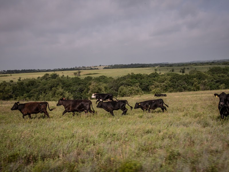 Nine Bar Ranch - Photo 6