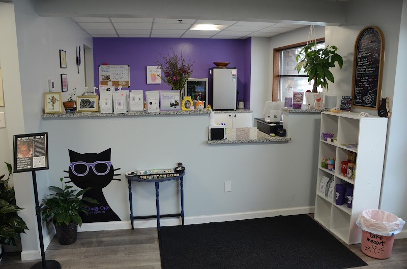 The Cat Lady Cafe South Bend
