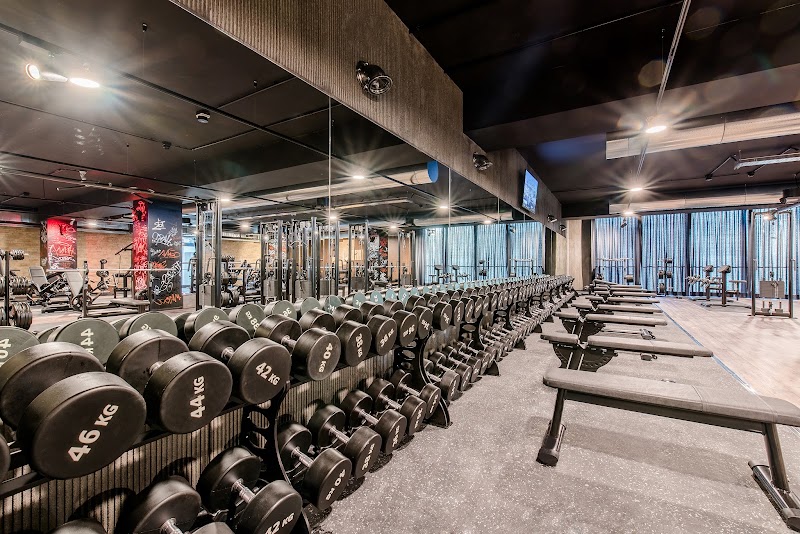 Palestra McFIT Perugia