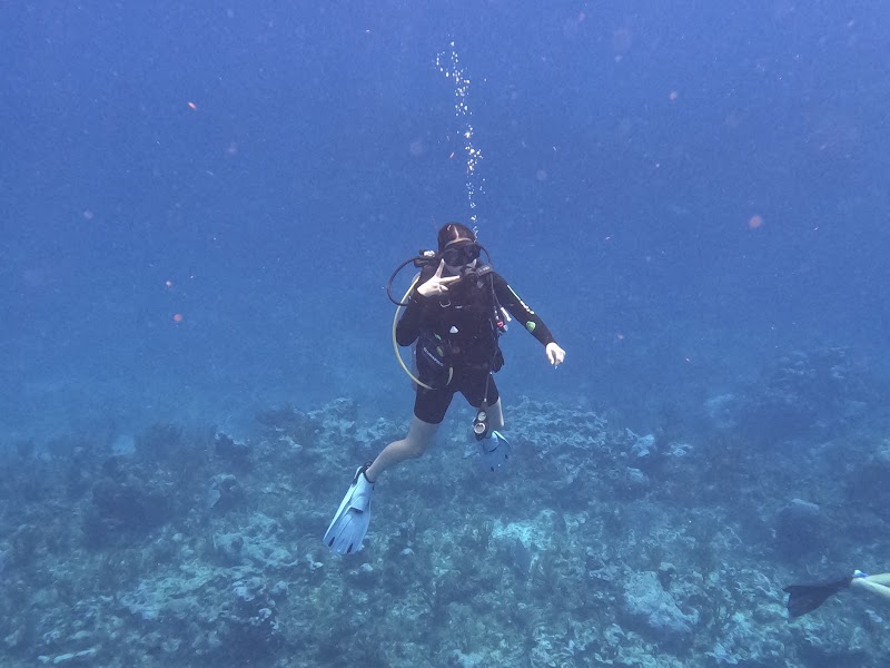 Off The Wall Divers photo 3
