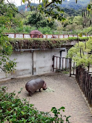 Taipei Zoo