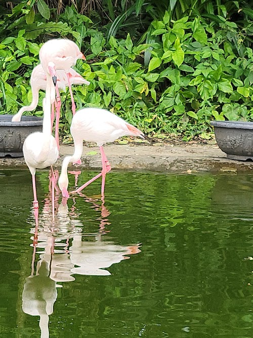 Taipei Zoo