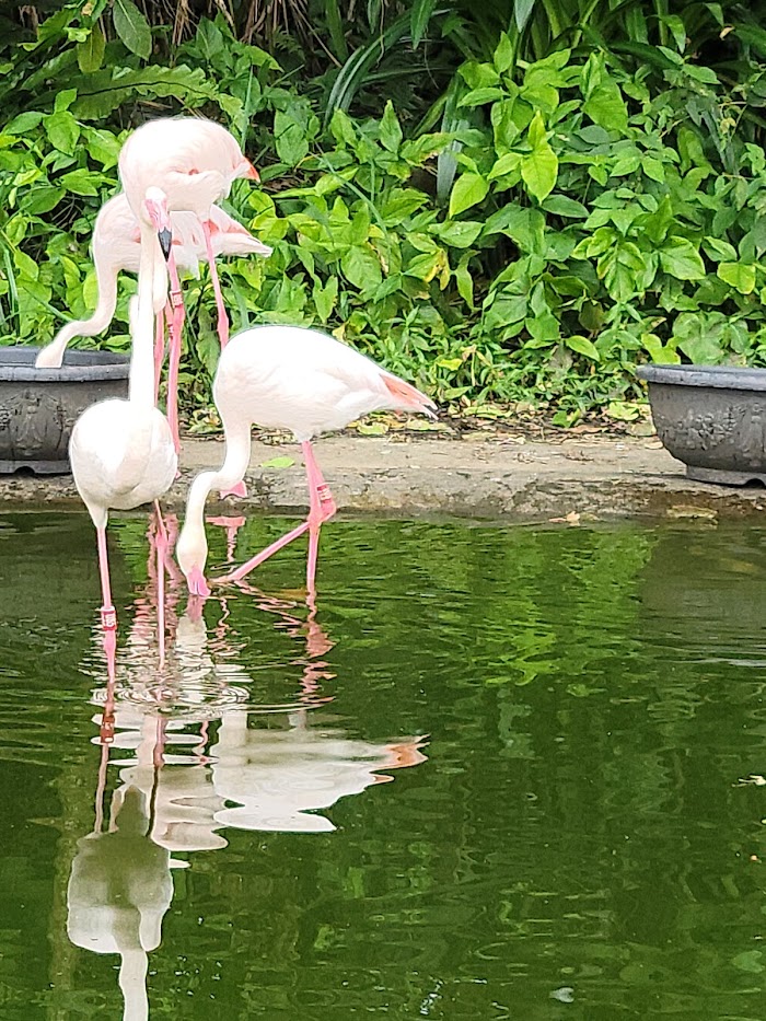 Taipei Zoo