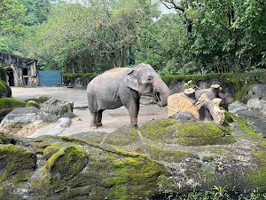 Taipei Zoo