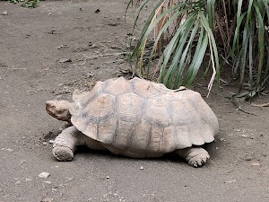 Taipei Zoo