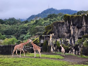 Taipei Zoo