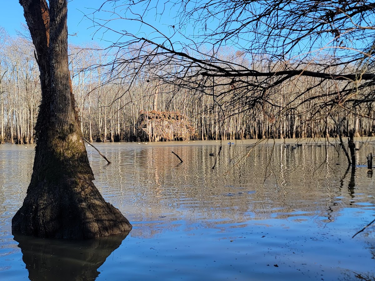 Big Creek Ducks N Bucks
