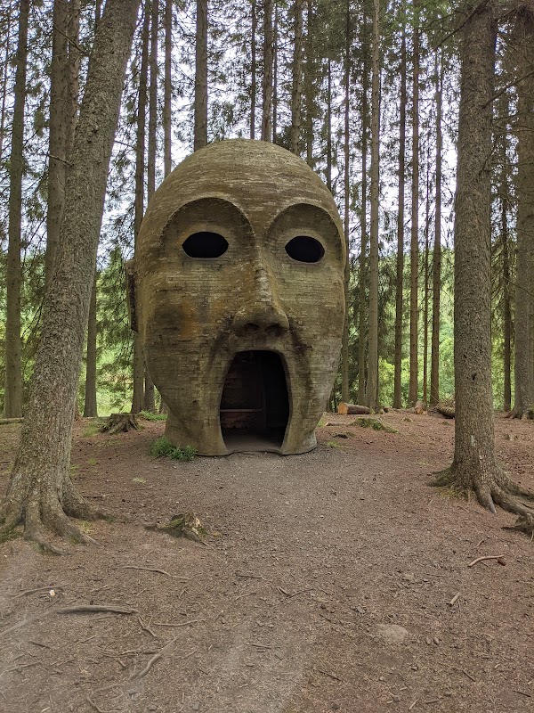 Kielder Forest 1