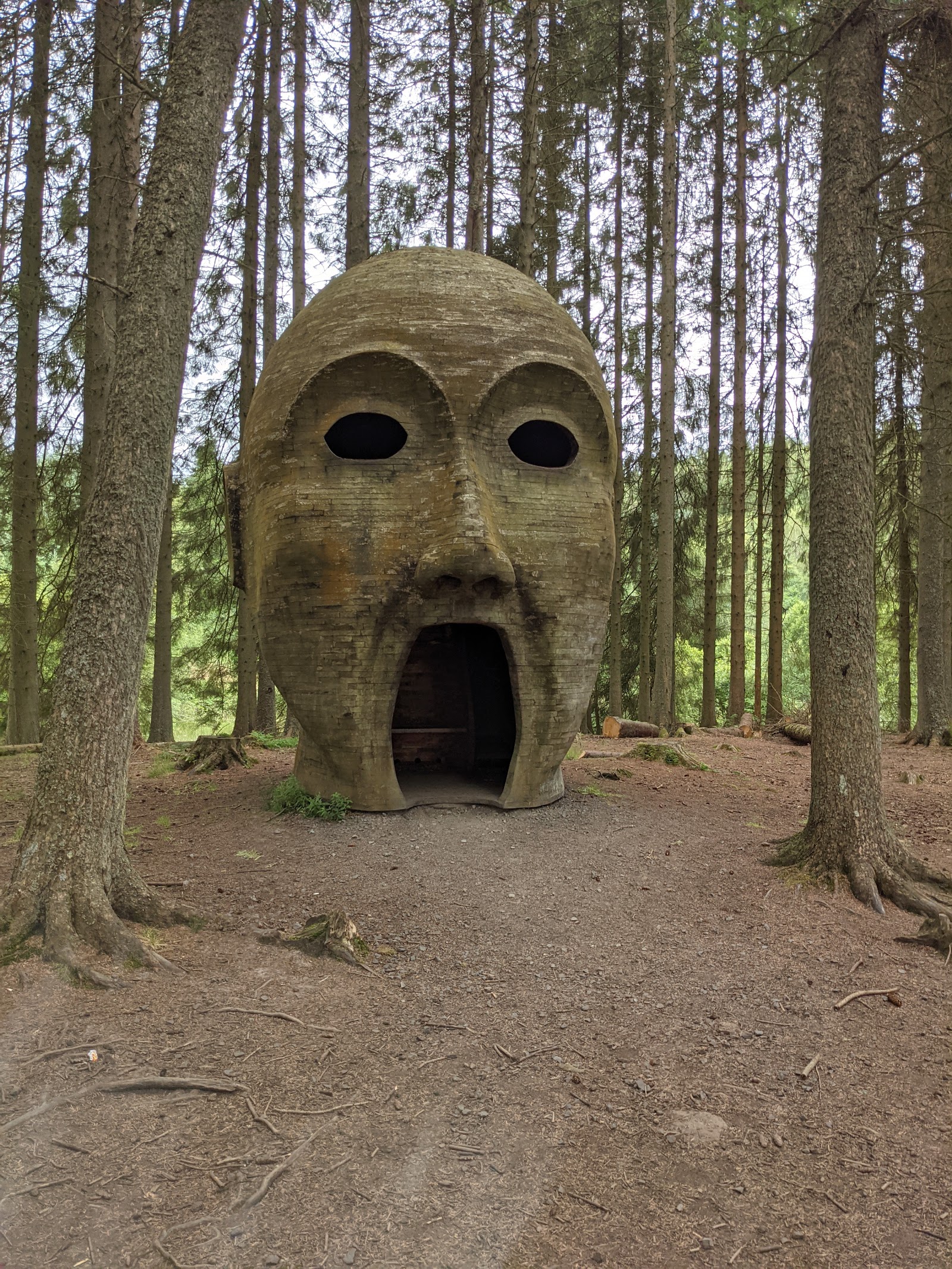 Northumberland in Autumn: Golden Walks, Migrating Birds, and Harvest Flavours