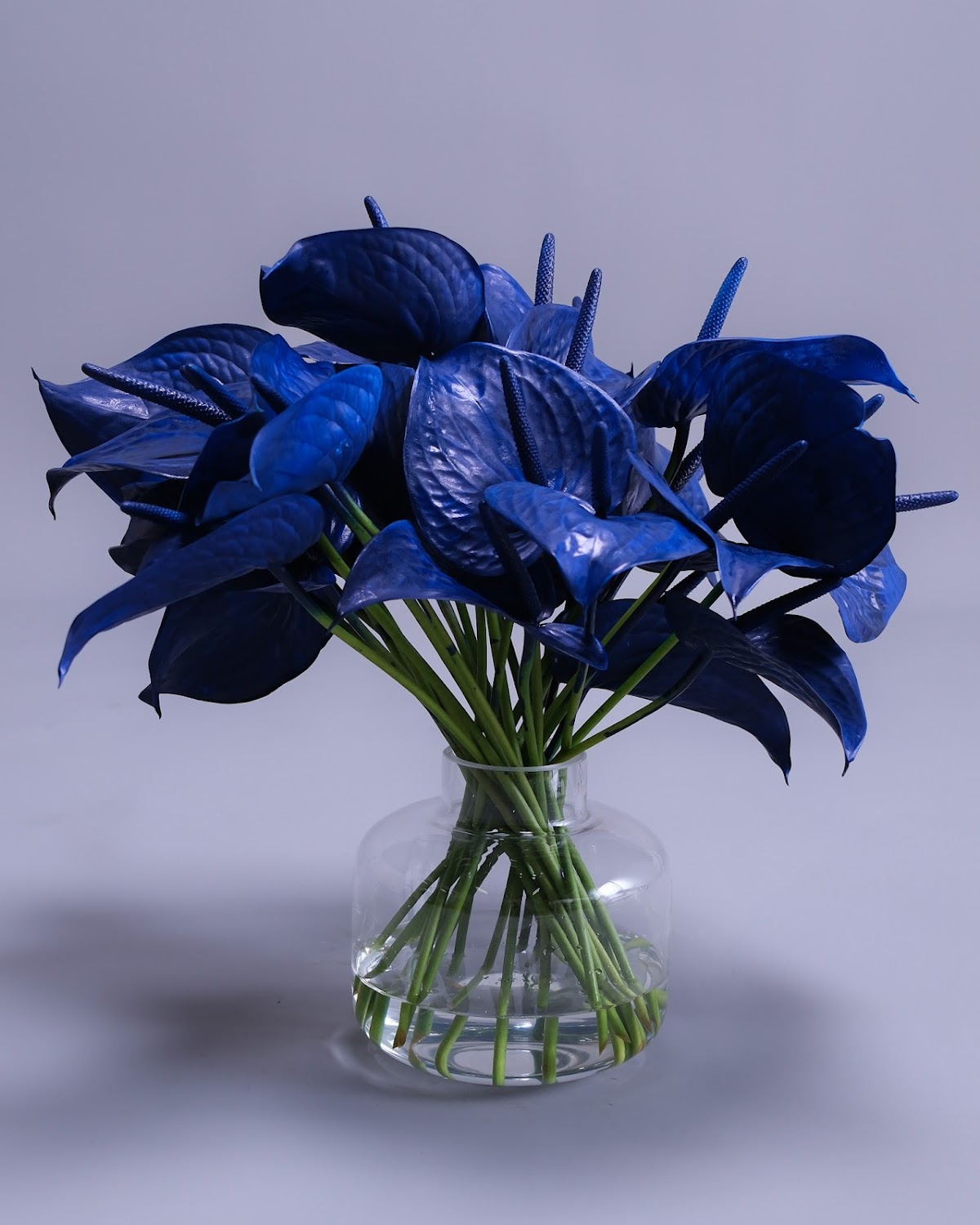 Flower Icon: Google Places image 5