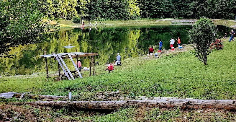 Sycamore Island INC photo