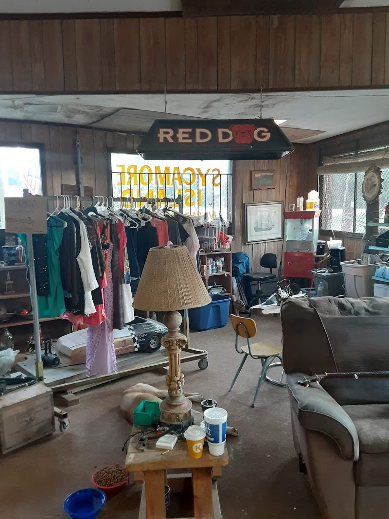 Sycamore Island INC photo