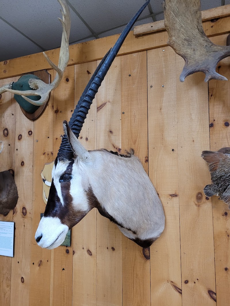 Danvers Fish and Game Club - Photo 2