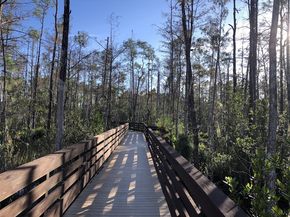 North Collier Regional Park fotoğraf 1