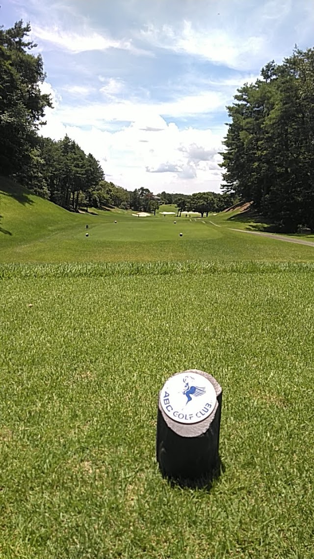 ABC Golf Club - Photo 8