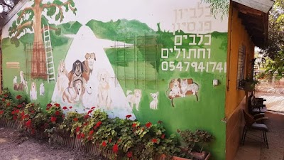 כלביון- בית אבות לכלבים ופנסיון חתולים