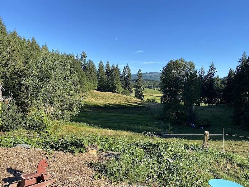 Alderlea Farm and Cafe photo 1