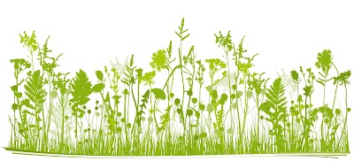 Kräutervitalbad - Sauna