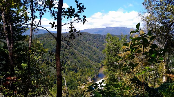 Heaphy track 1