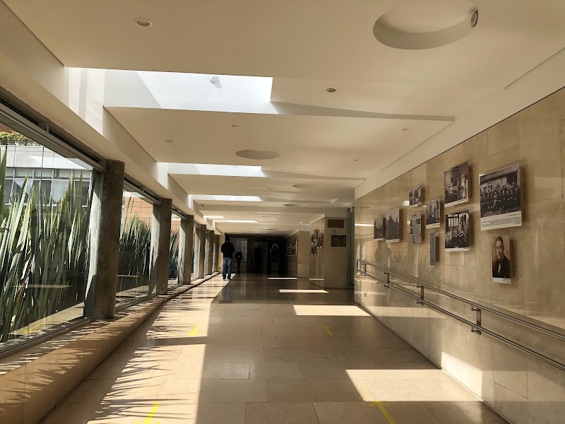 Gallery 5