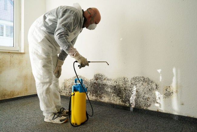 Certified Mold Removal Inspection and Testing Minneapolis MN — photo