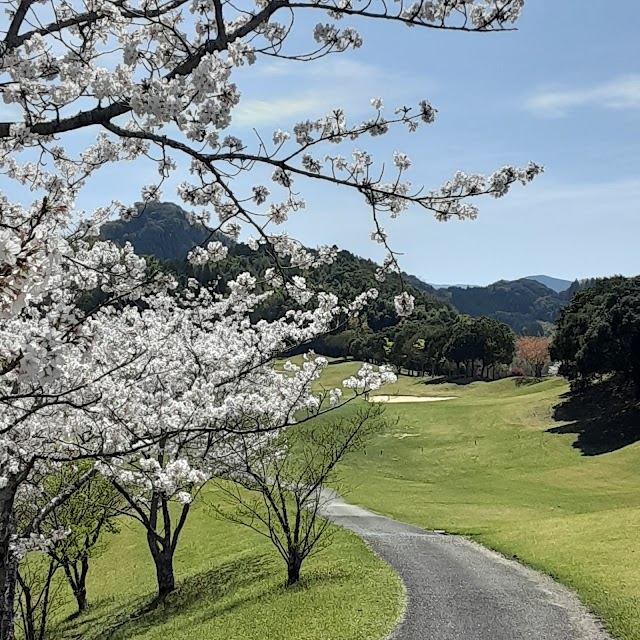 World Country Club (Kumamoto Prefecture) - Photo 9