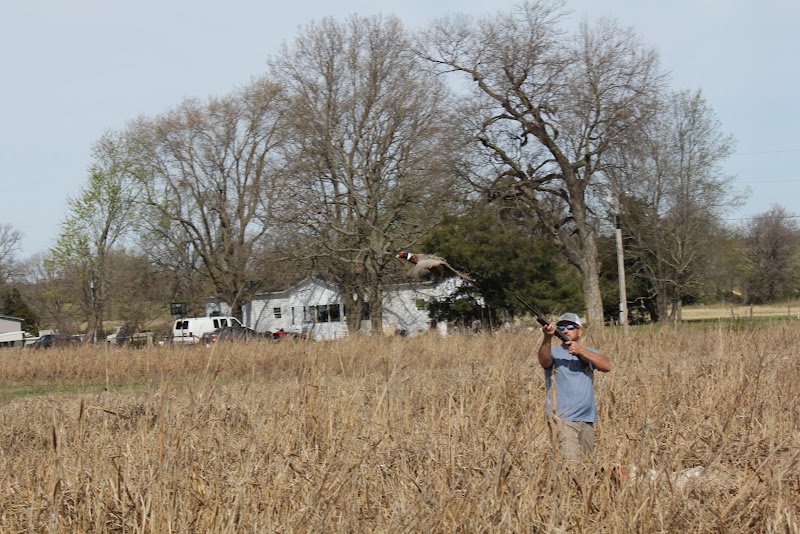 Circle T Farms Upland Hunting Preserve - Photo 3
