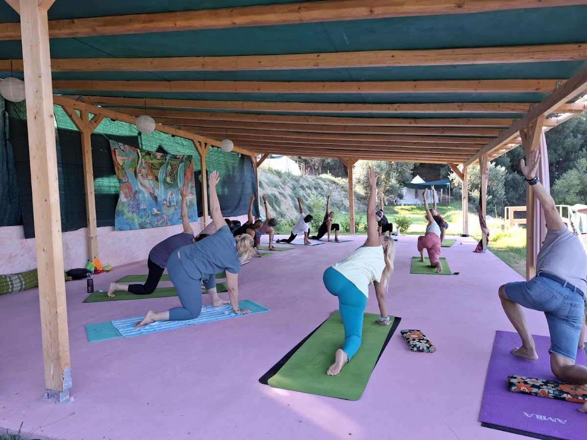 ΝΤιπΖεΝ - Happiness Yoga Retreat — 3