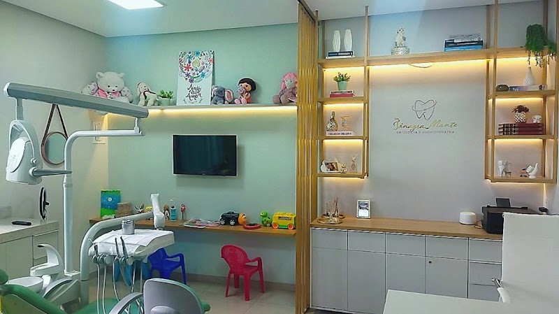 Dra.Tânagra Monte- Cirurgiã Dentista//Odontopediatria/Ortodontia. - foto 3