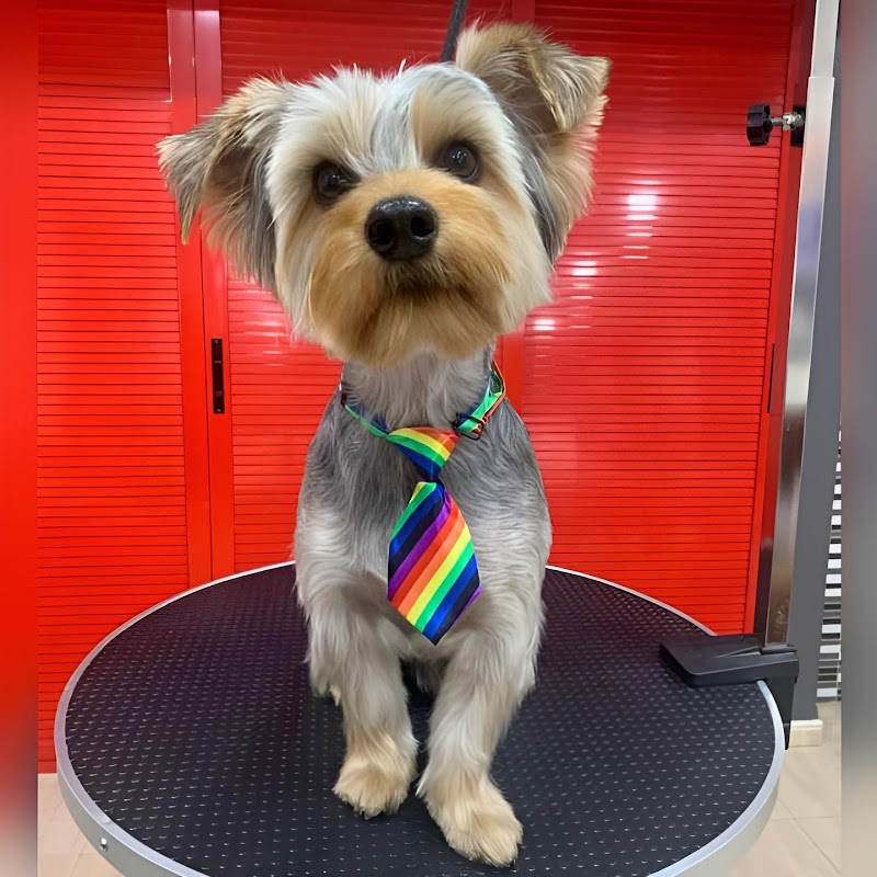 Clínica Veterinaria El Pilar