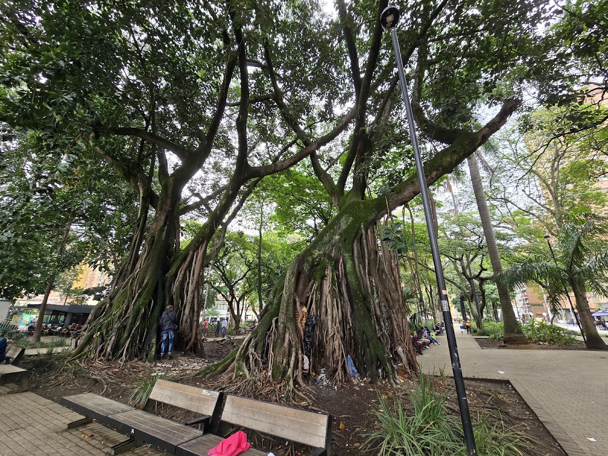 Parque de Bolívar