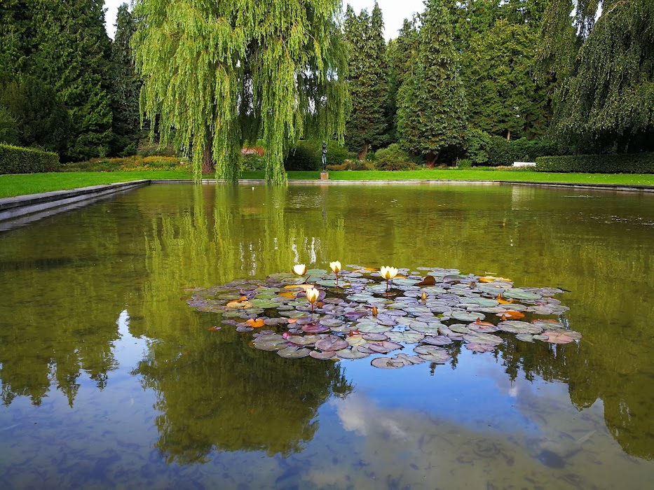Rømerhaven fotoğraf 1