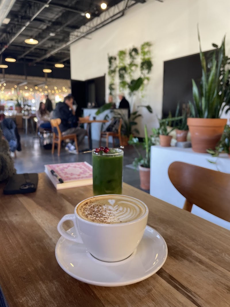 NATIVE COFFEE CO. photo 4