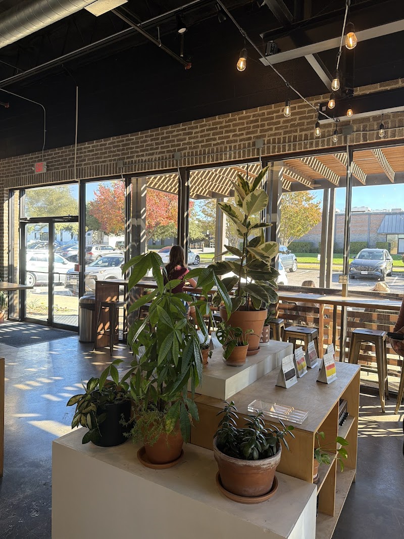 NATIVE COFFEE CO. photo 4