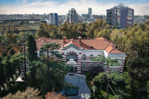 Beard Transplant Turkey logo