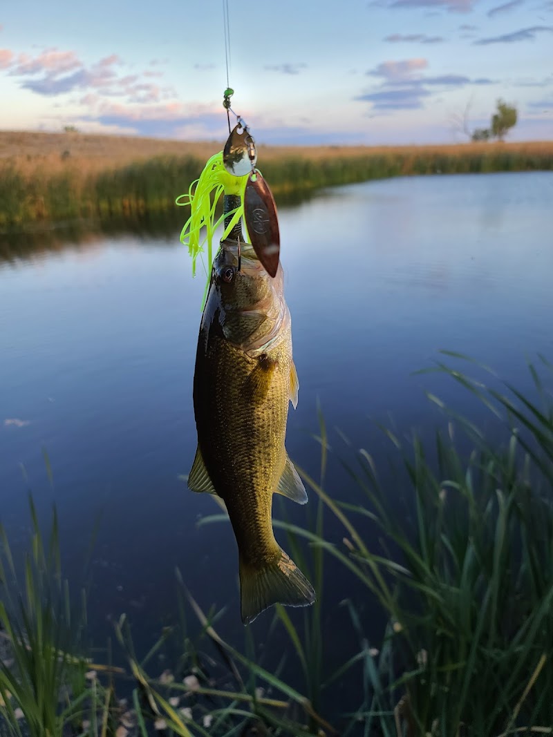 Powder River Game Preserve - Photo 4
