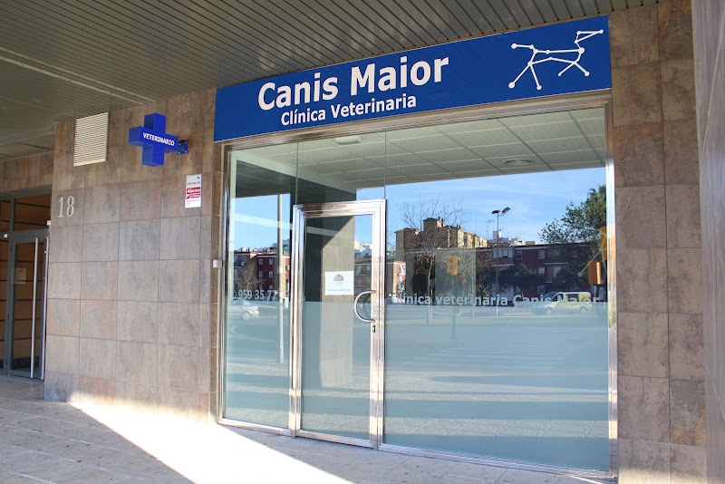 Clínica veterinaria Canis Maior