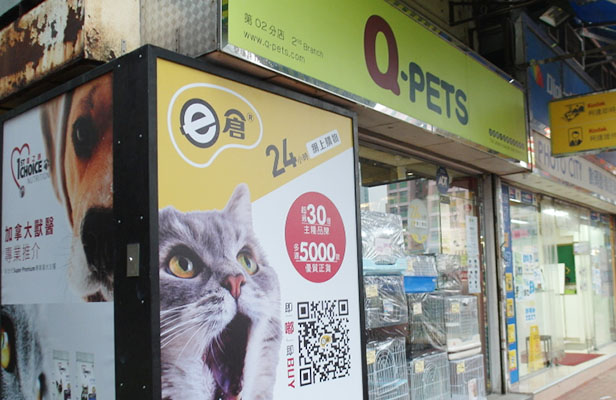 Q-Pets - 元朗擊壤路分店