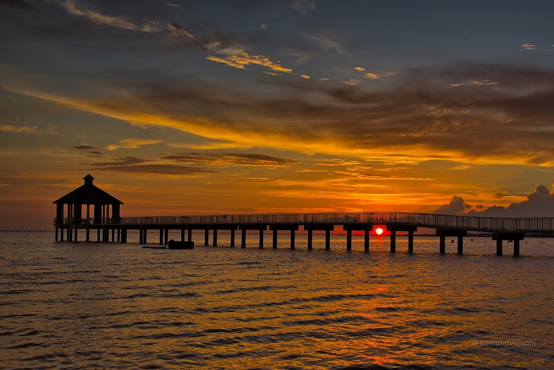 Fontainebleau State Park photo 3