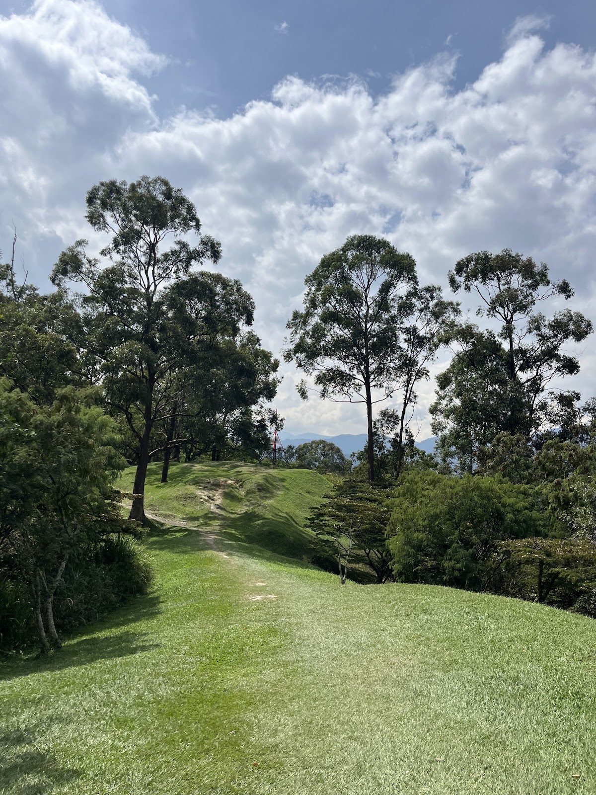 Cerro El Volador