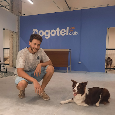 דוגותל - Dogotel - מעון יום לכלבים, גן לכלבים, אילוף כלבים, פנסיון יום, מספרה לכלבים