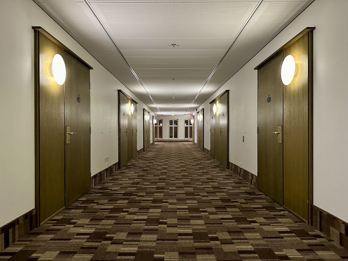 Scandic Grand Marina, dog-friendly hotel, photo 5