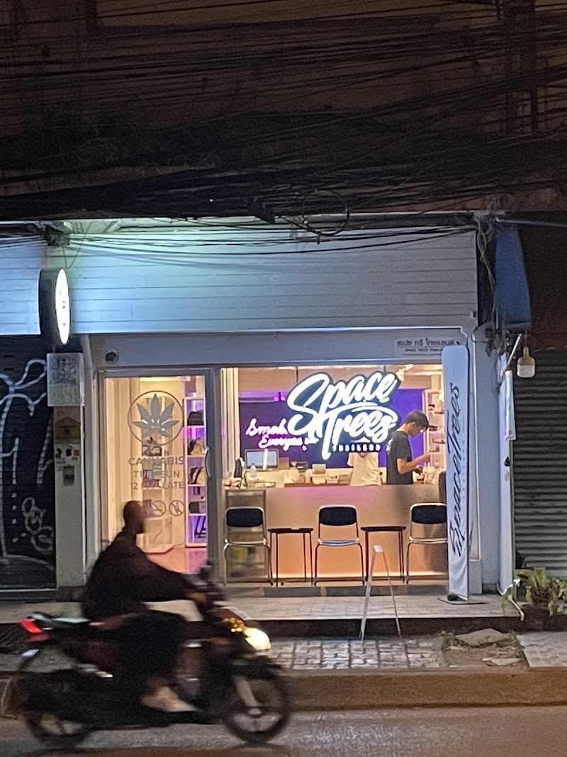 Space Trees Thailand