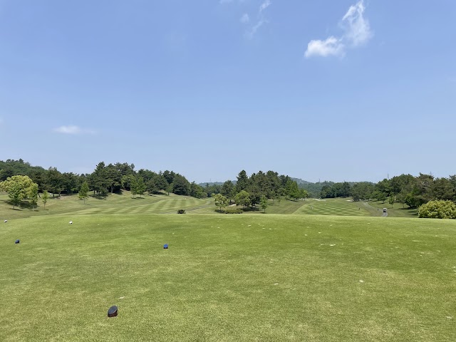 Ryuo Golf Course - Photo 6