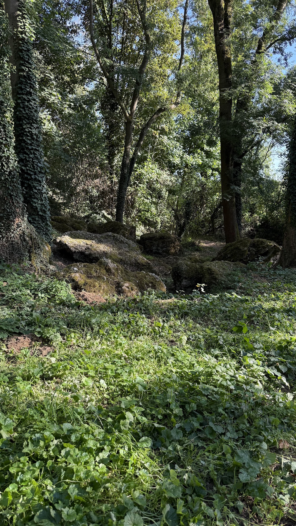 Geologisch monument Örenberg